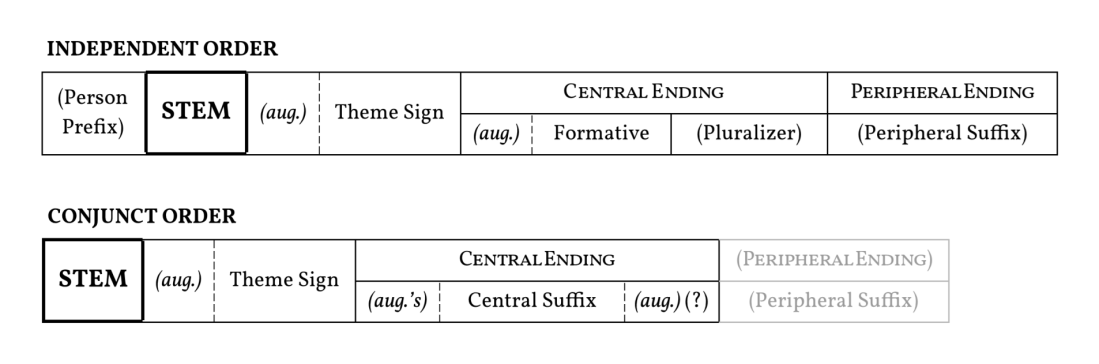 Simplified diagram of independent and conjunct order TA verb templates